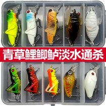 Green Fish Grass Carp Carp Carp crucian Bait Suit Lujah Bait Freshwater Bionic Grass Crickets Insect Fake Bait