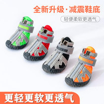 Teddy dog shoes small dog dog four season shoes than bear shoes anti-slip sneakers pet shoes breathable models