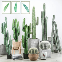 Nordic simulation cactus potted large fairy column decoration living room decoration fake plant cactus photography props