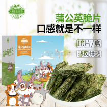 JESSIE Jessie Rabbit Dandelion Grass Crispy Guinea Pig Guinea Pig Totoro Hay 10 Pack