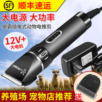 Professional petting electric clipper high-power shaved cashmere goat hair pusher dog large dog long hair rabbit Shaver