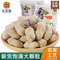 Nongxie Hui_Longyan peanut spiced garlic peanut with shell fried goods snack snack snack snack snack food