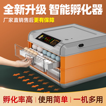 Incubator Automatic Small Hatchery Smart Home Incubator Mini Incubator Eggers