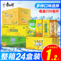 Master Kong iced black tea green tea boxed beverage drink rock sugar Sydney jasmine tea 250ml * 24 full box Special