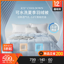 Carnations summer five-star hotel duvet summer by washable air conditioning charged with warm down duvet by double summer cool