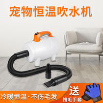Xiaowei pet water blower Household dog hair blowing fan Quick-drying cat high-power intelligent dryer for dogs