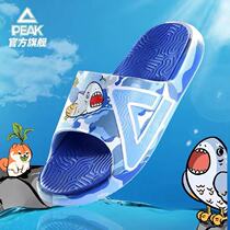 Peak state X Aidingke Happy Youth Joint Sports Slippers Men's 2021 Summer New Sandals and Slippers Women