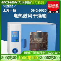 Shanghai Yiheng oven industrial electric blast drying oven constant temperature box DHG-9030 grains Chinese herbal medicine