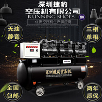 Auto repair high pressure pump air compressor Small oil-free silent decoration industrial grade air compressor 220v spray paint