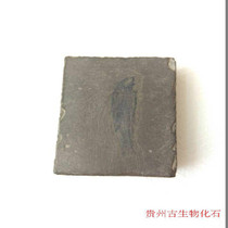 Guizhou Triassic paleontology marine animal fossil specimens small fish fossils