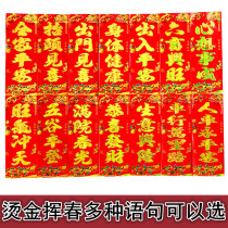 2022 Year of the Tiger New Year Spring Festival