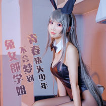 Youth pig head teenager will not dream of bunny girl sister Sakurajima bunny cosplay suit