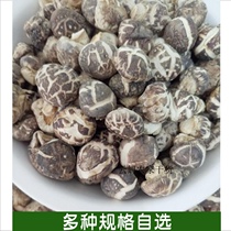 Small flower mushroom dry pearl boy mushroom mushroom mushroom one mouth of a farmer thick meat bulk mushroom button 500g