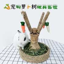 Silk melon hanging string pet toy rabbit Dutch pig cat kitty grindle resistant to biting grass large carb tree clothing