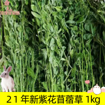 Purple Flower Clover Grass Rabbit Food Young Rabbit Food Dry Grass Dragon Cat Dutch Pig Guinea Pig Herd Rabbit Feed