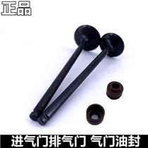 Suitable for Suzuki Hongbao UM125T Tianyu UZ125T-A C Lingdi HJ125T-18A C F valve oil seal
