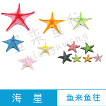 Simulation starfish Simulation fish Fake fish Ocean theme decoration Mei Chen entertainment animation hanging resin starfish model