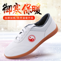 Taiji shoes male soft cowhide cowhide cowhide martial arts shoes winter warm leather Taijiquan practice Sports Plus velvet shoes women