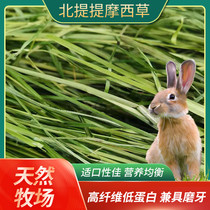 2021 first crop drying Timothy grass rabbit hay rabbit hay rabbit grain Dutch pig grain feed Chinchow grass