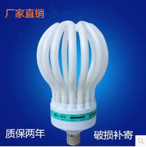 High-power lotus lamp energy-saving bulbs 4U6U8u45w65w85W105w150W200W300W Factory direct sales