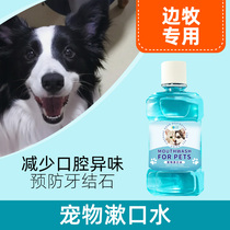 Border collie special oral cleaning teeth antibacterial mouthwash in addition to bad breath calculus brushing cleaning supplies edible