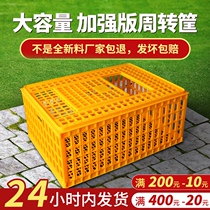 Chicken cage plastic turnover box into chicken duck and goose transport basket large thickened weighted chicken duck and goose pigeon cage turnover transport cage