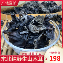 Wild black fungus dry goods northeast specialty autumn fungus soft waxy 500g bulk rootless meat thick Heilongjiang grade