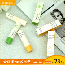 Korea innisfree Rapeseed honey moisturizing lip Balm Green tea colorless lipstick moisturizing
