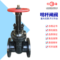 Cast iron flange gate valve Z41T-16 open Rod tap water fire heating thermal gate valve DN50 100 65