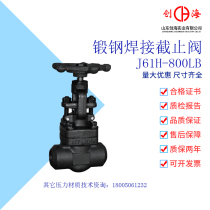 Welding wire buckle forged steel stainless steel chrome molybdenum steel globe valve J61H Y-800LB threaded power station high temperature