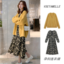 Pregnant women set Spring and Autumn New knitted sweater cardigan jacket 2021 net red floral dress two-piece set