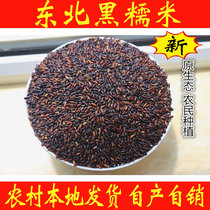 Authentic Northeast black glutinous rice blood sticky rice farmers in Wuchang City Heilongjiang Province produce and sell 500g