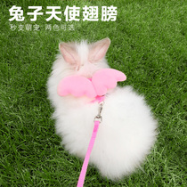 Rabbit Traction Rope Slip Rabbit Traction With Chain Zig Rabbit Rope For Rabbit Rope Cute Pitul Rabbit Supplies Clothes