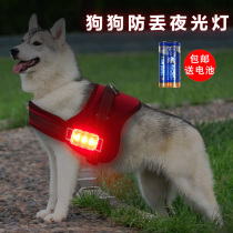 Pet Night Light Dogs Night-time Anti-Loss Lights Dry Cell Anti-Loss Lights Night Walk Dog Luminator Large Dogs