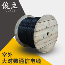 HYA100 pairs of large logarithmic voice telephone cables 200 pairs 600 pairs 400 pairs 50 pairs 25 pairs of communication cables