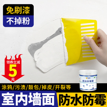 Waterproof wall paste Interior wall Indoor wall seepage moisture-proof mildew repair household white paint Putty paste powder glue