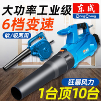 East Adult Hair Dryer Blast High Power Industrial Blow Suction Dual-use 220v Powerful Small Electric Blown Ash Dust Extractor