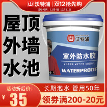 Pool repair glue fish pond special waterproof coating long-term water soaking special material plugging gutter waterproof special paint