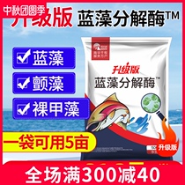Cyanobacteria decomposing enzyme decomposing fine aquaculture crayfish crab fish pond removal of cyanobacteria net poison quick extinction