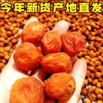 21 years of new four groups of hanging dried apricots Xinjiang specialty tree dried apricots natural non-added apricots