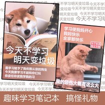 Rich womans address book How to make love you to get happy Net red notes diary homework creative funny gift