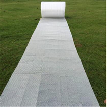 Bubble Wrap New Material Thickened Bubble Film Packaging Shockproof Bubble Mat Wholesale Bubble Bag 100cm Width