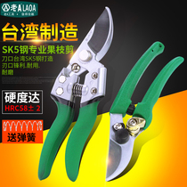 Old a native Taiwanese gardening scissors gardener scissors branch scissors fruit pruning scissors pruning scissors