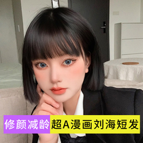 Wig female short from natural full head cover summer simulation hair lisa the same comic bangs bobble wig set