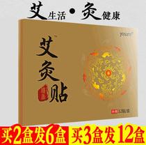 Moxibustion paste Warm moxibustion paste Portable moxibustion wormwood moxibustion warm body paste Sore cervical spine paste