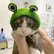 Pet wool knit hat frog Christmas headgear Garfield English short cat hand made DIY cat cute dress