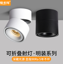 led light mounted spotlight adjustable angle folding anti-glare high display porch corridor restaurant ceiling ceiling type