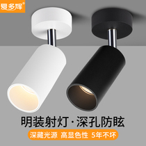 Deep anti-glare surface mounted spotlight led adjustable angle Light luxury household living room TV background wall small spotlight ceiling type