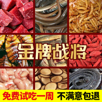 Thrush bird food feed nutrition strong fat singing bird color material special manual high-grade thrush bird bird material