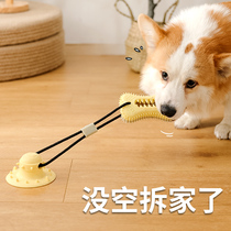 Dog toy Bite-resistant molar suction cup tug-of-war pull sound leakage toy boredom artifact Puppy Small dog
